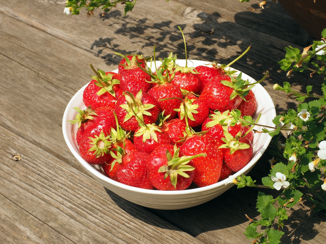 bowl strawberries strawberry free photo