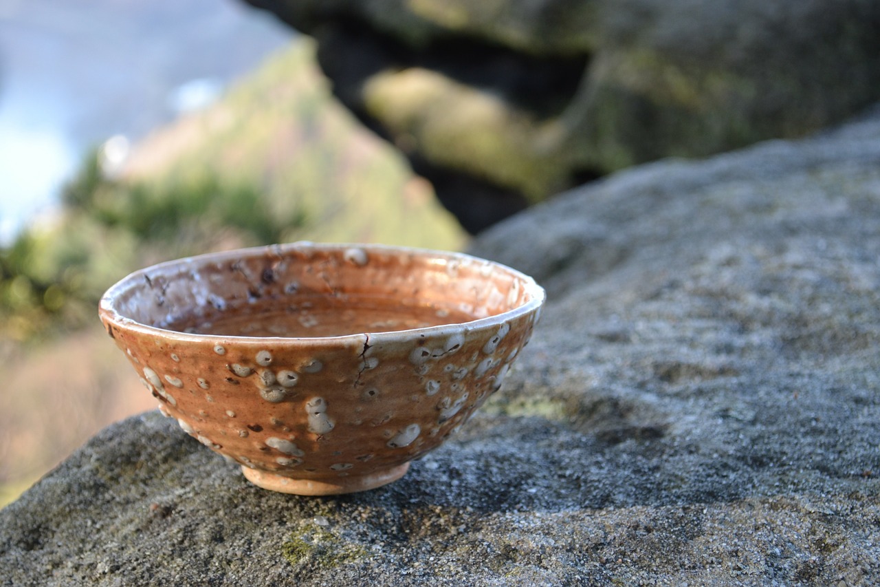 bowl pottery rock free photo