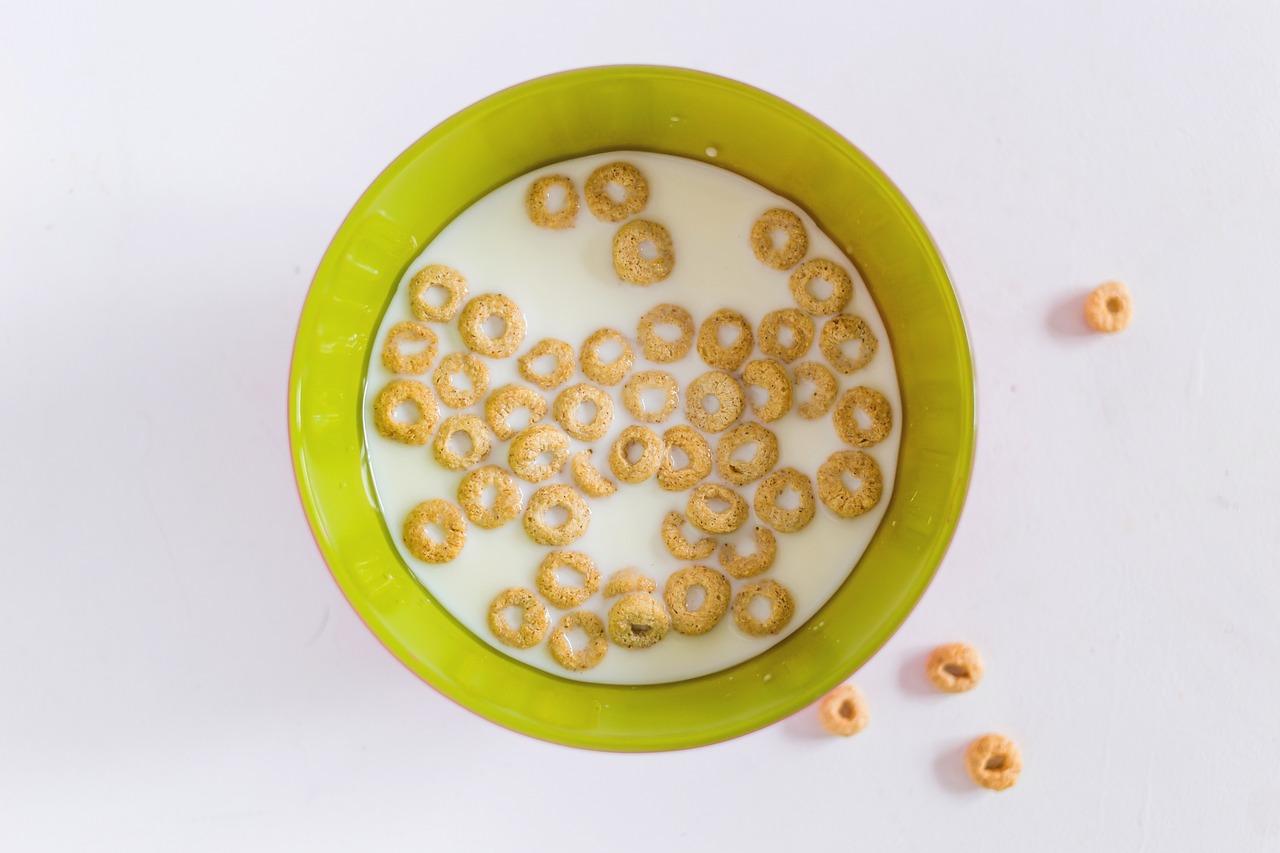 bowl breakfast cereal bowl free photo