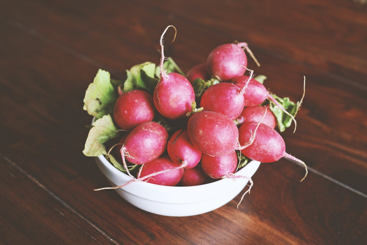 bowl edible food free photo