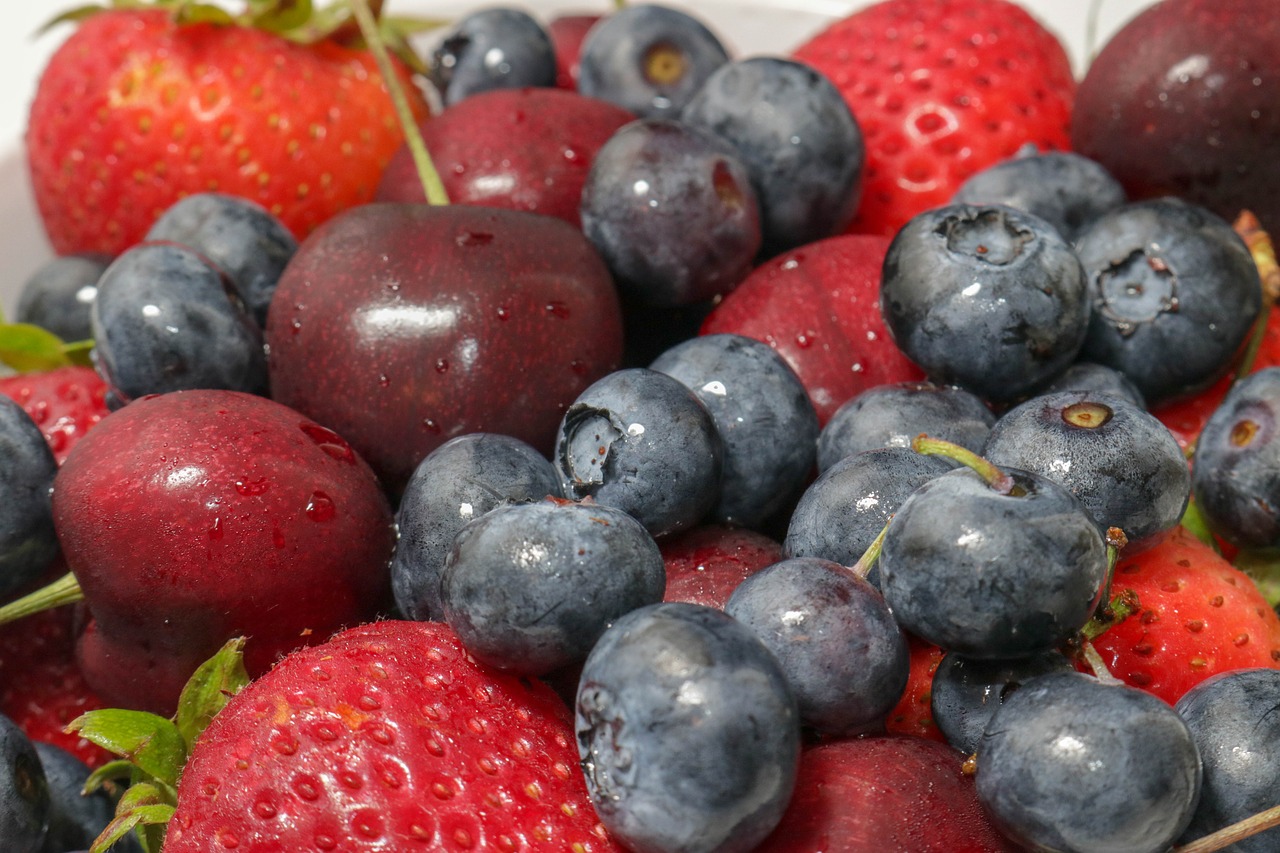 bowl  blueberries  fresh free photo