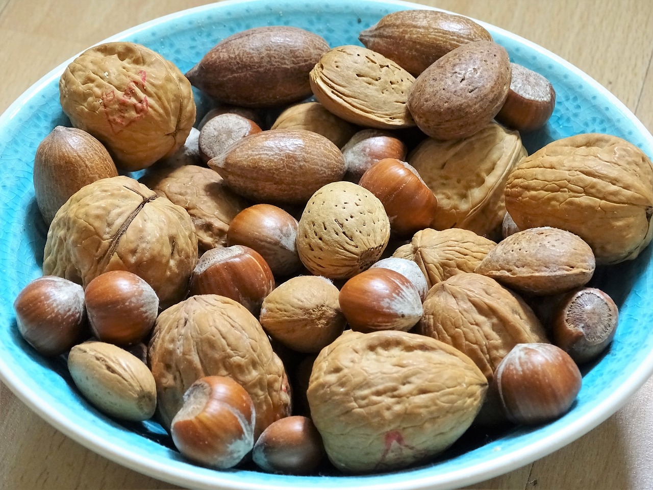 bowl  nut  nuts free photo