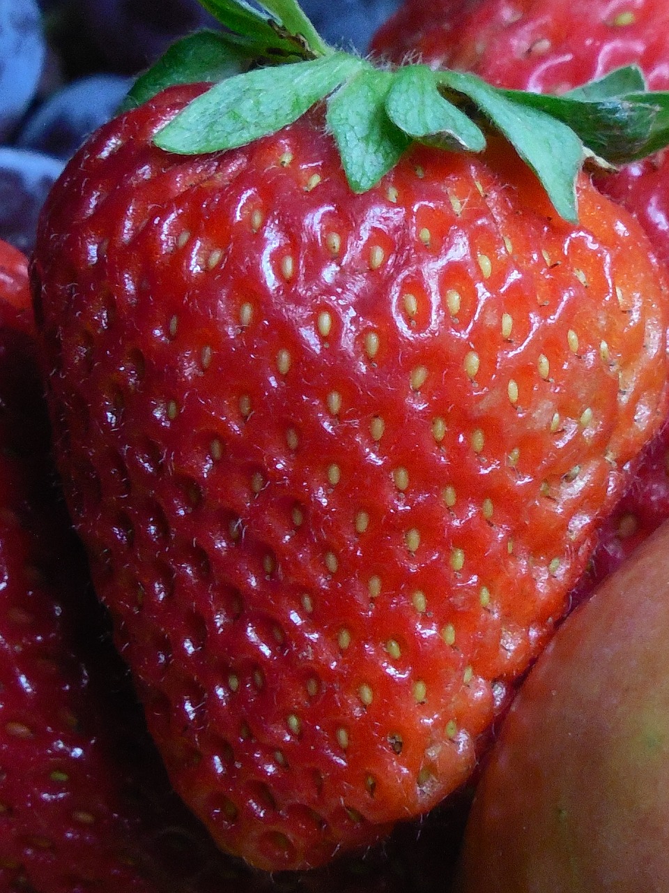 bowl fruit food free photo