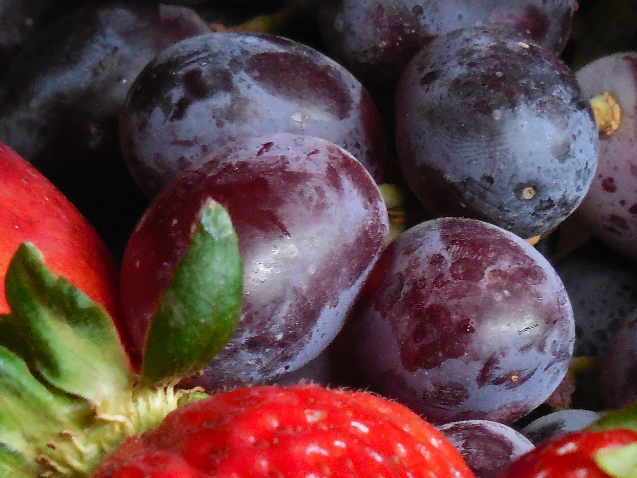 bowl fruit food free photo