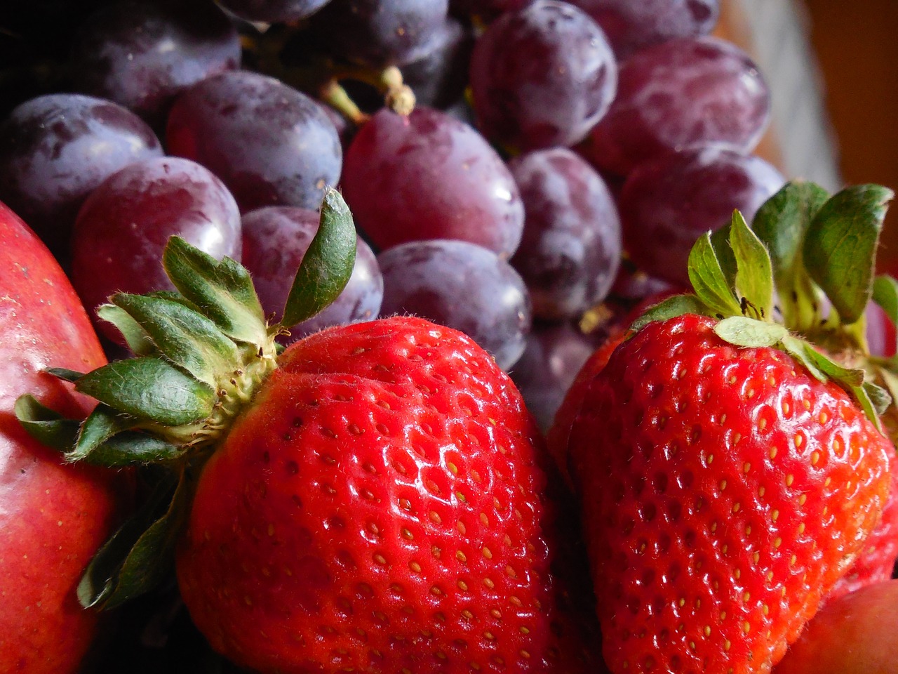 bowl fruit food free photo