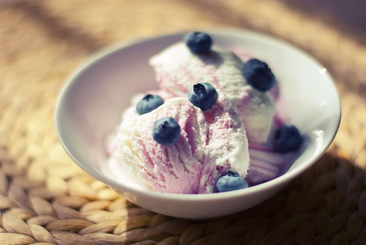 bowl ice cream blueberries free photo