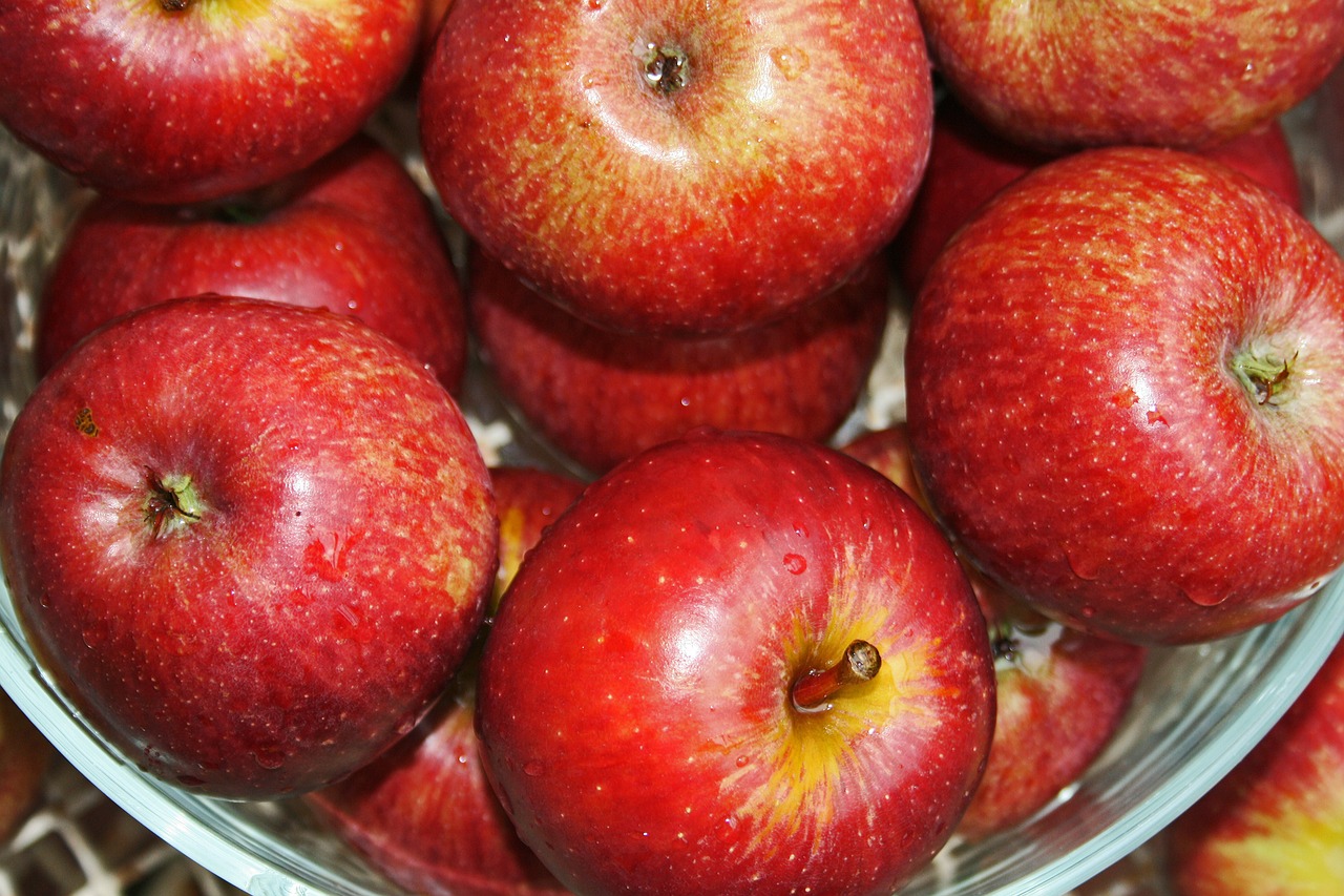 bowl of apples apples red free photo