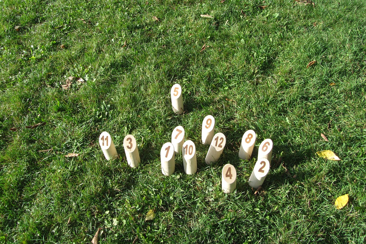 bowling game outside free photo