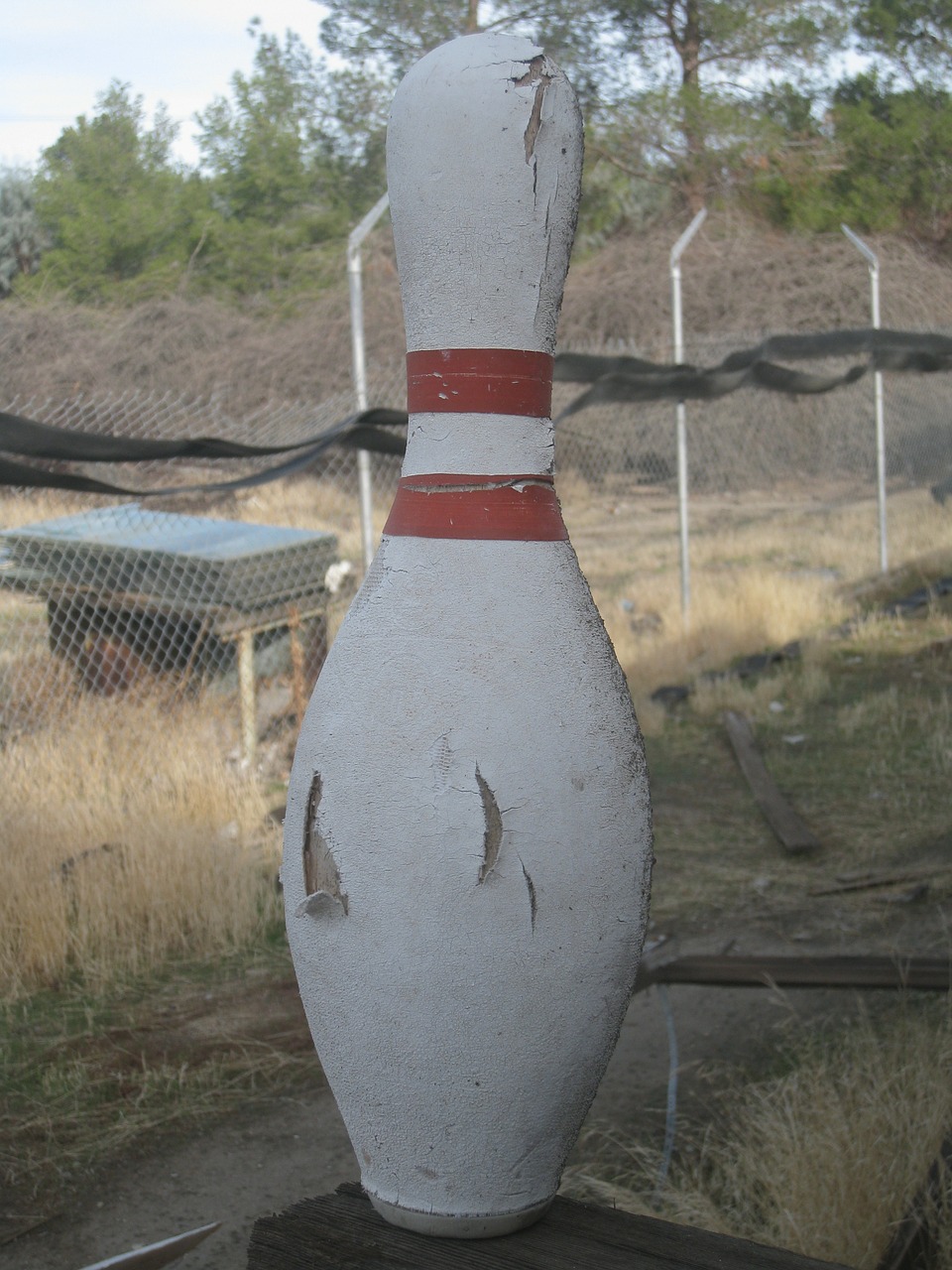 bowling pin white bowling free photo