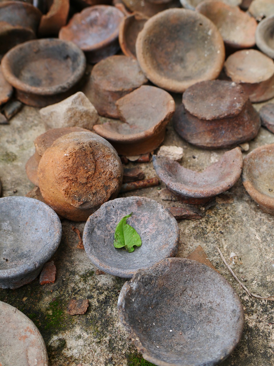 bowls terracotta leaf free photo