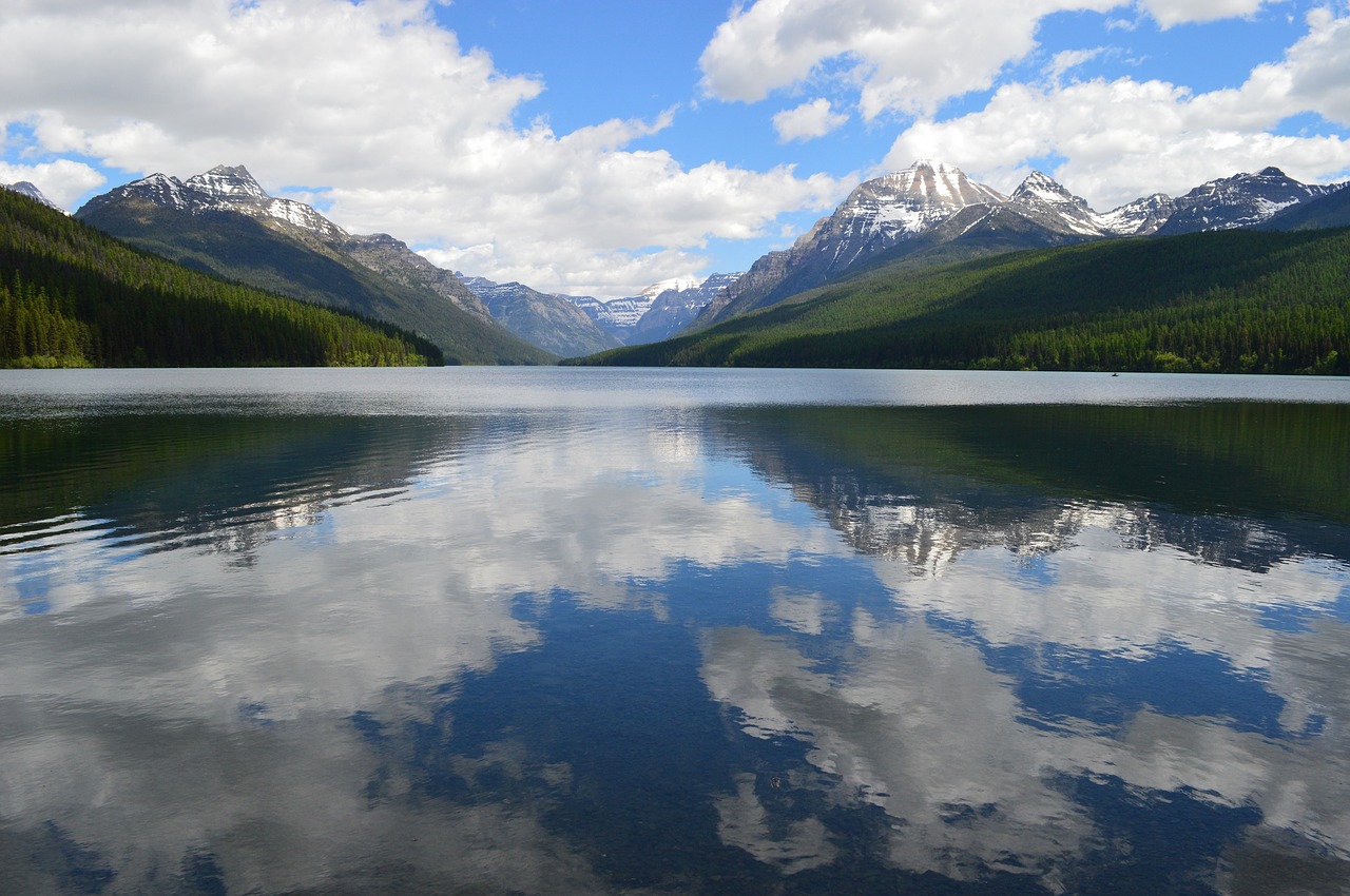 bowman lake mountains water free photo