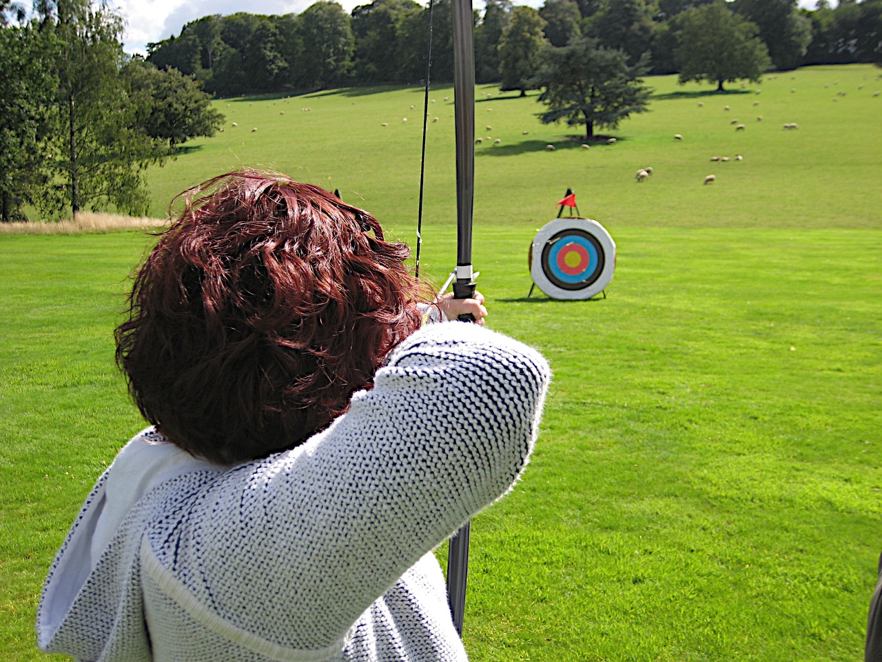 bows and arrows archery national trust free photo