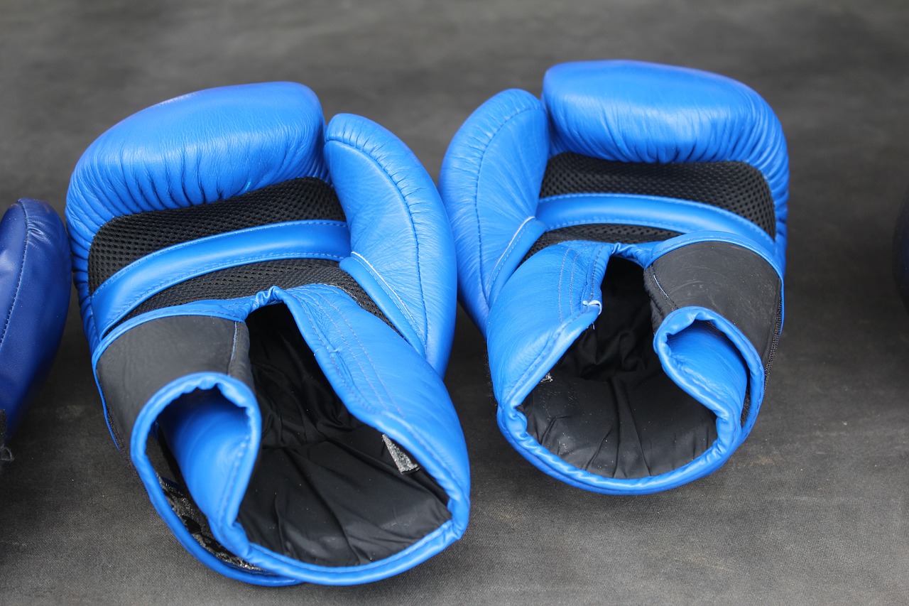 box boxing gloves boxing free photo