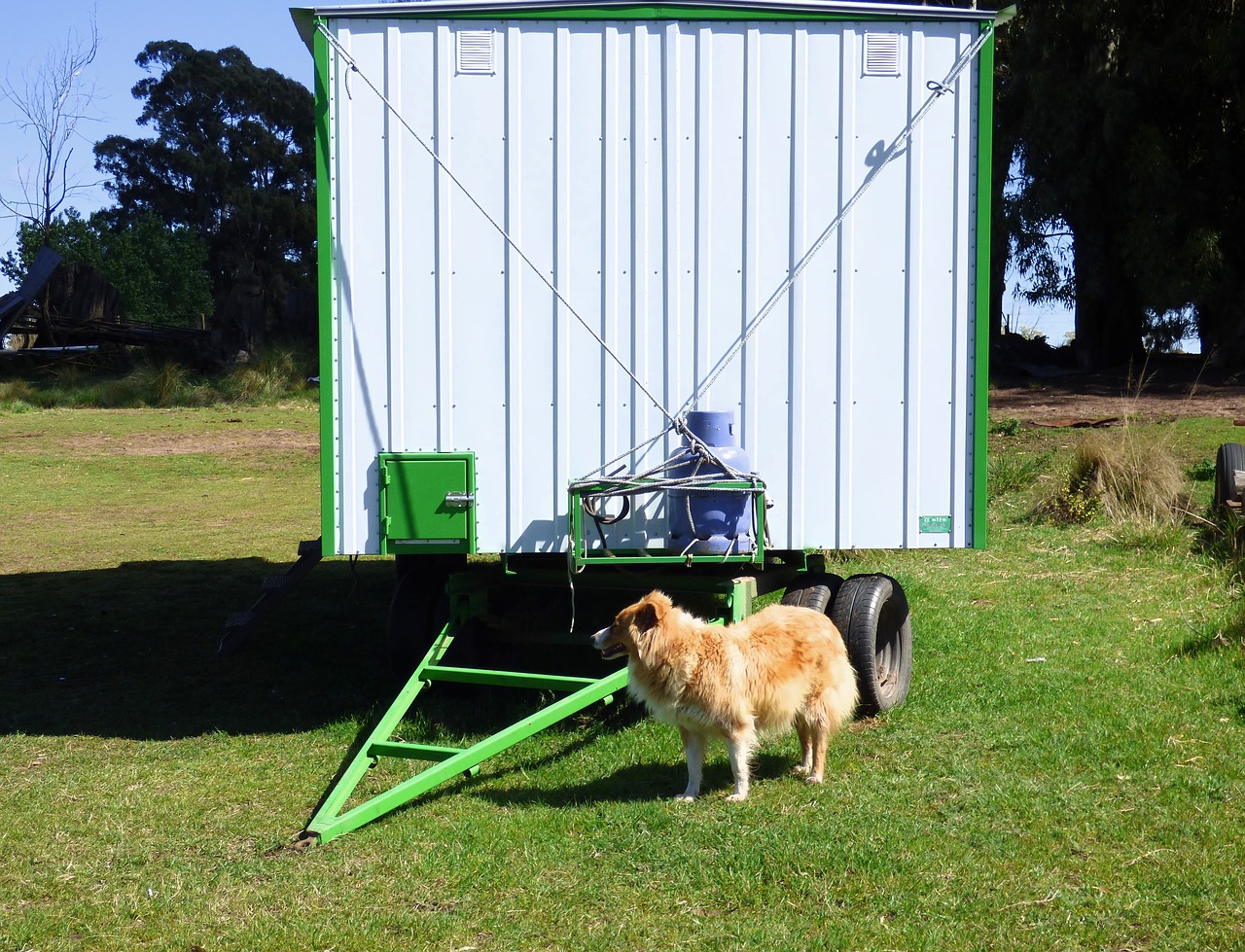 box rural tool guard dog free photo