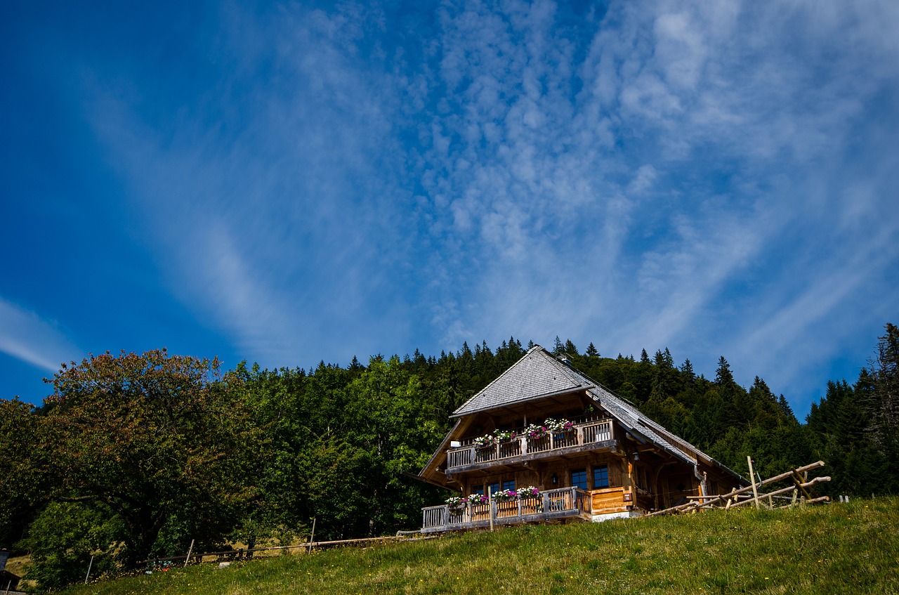 box lake feldberg black forest free photo