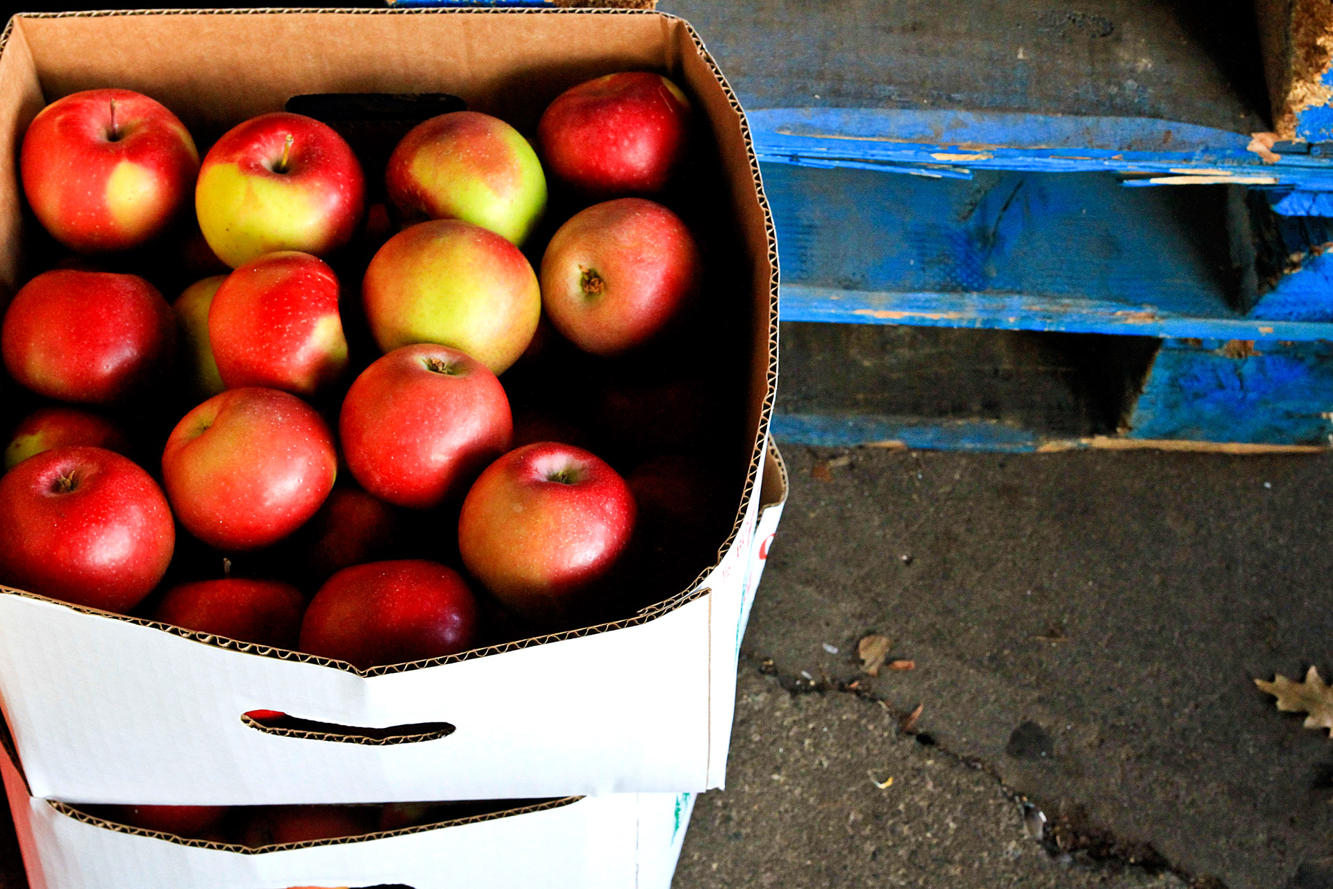 apple red apples box free photo