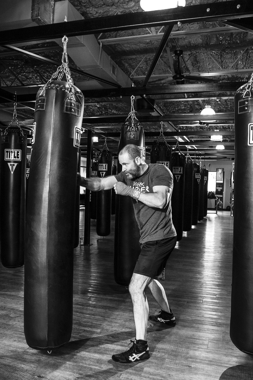 boxer boxing fitness free photo