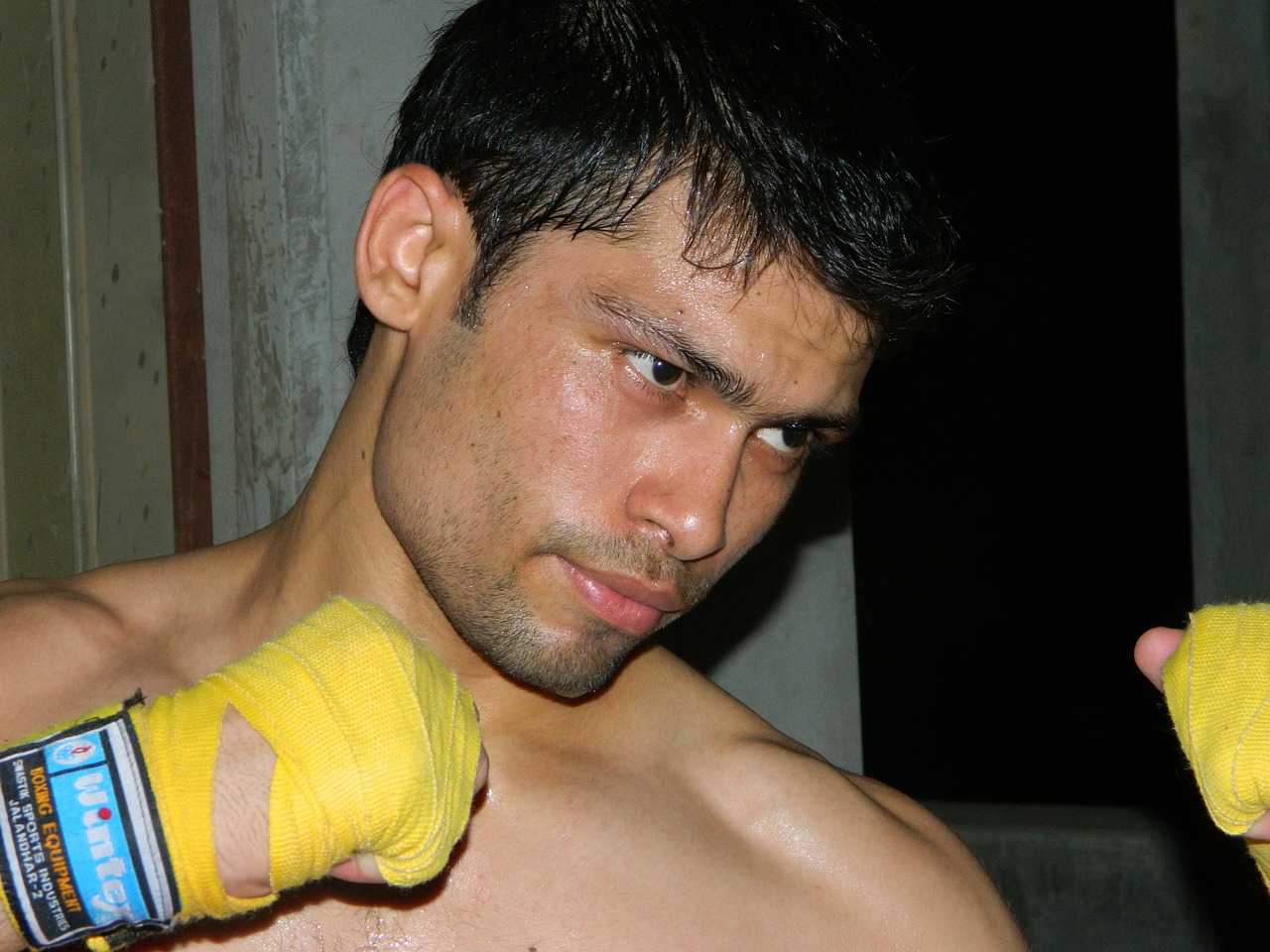 boxer fight sport free photo
