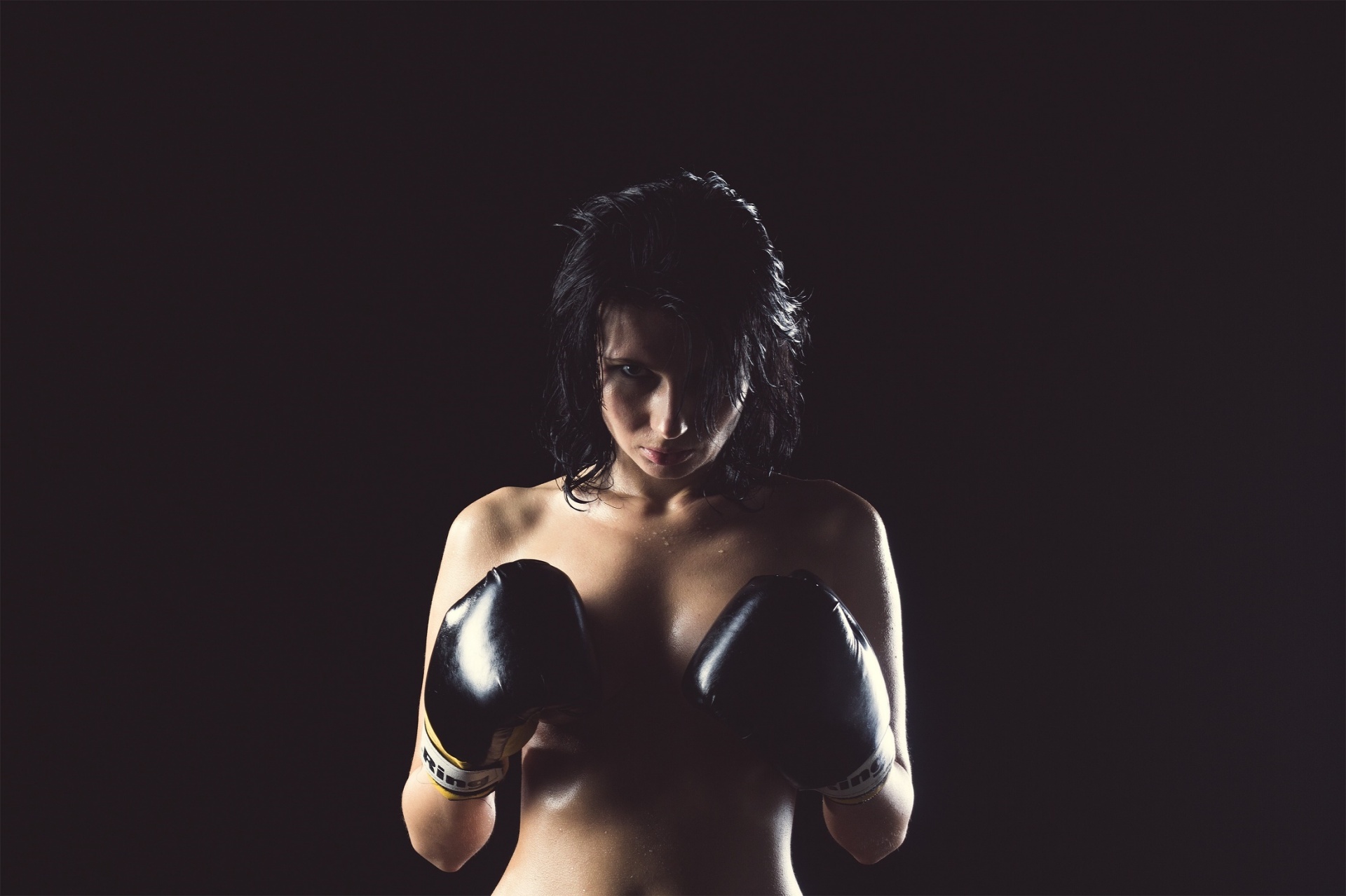 boxer female portrait free photo