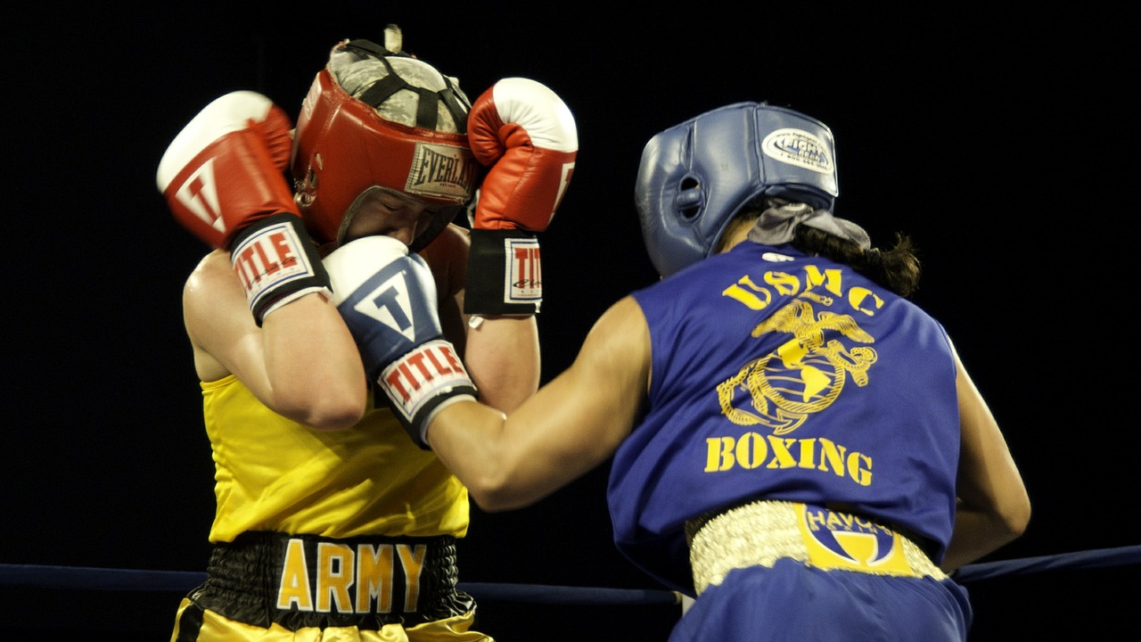 boxers female punch free photo