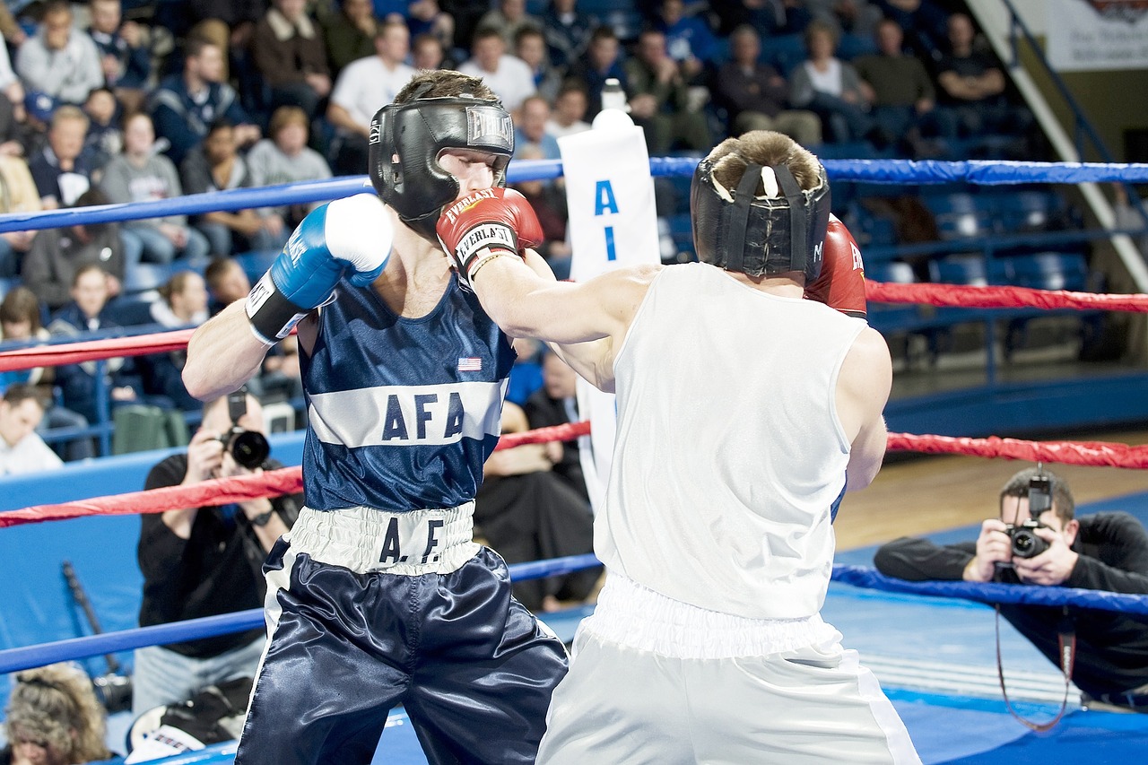 boxers males boxing free photo