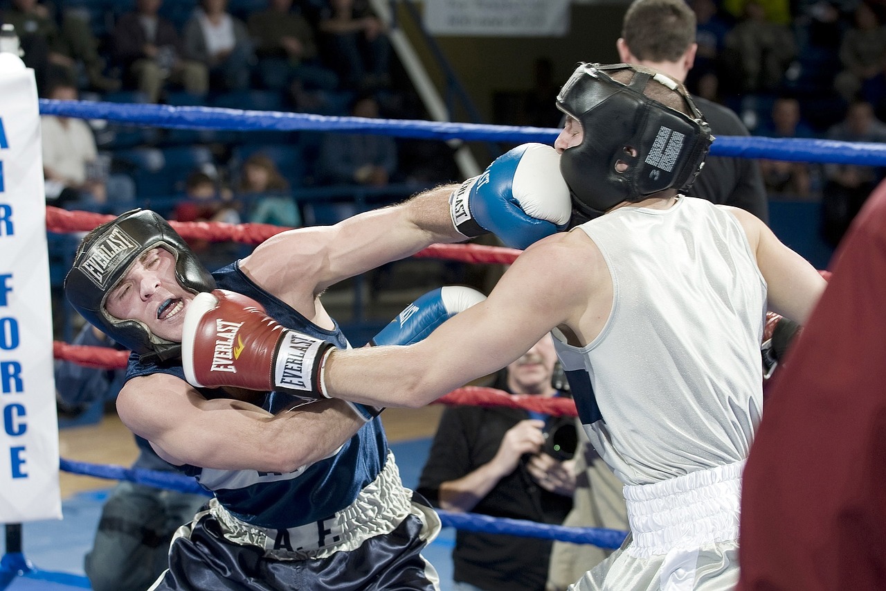 boxers males boxing free photo