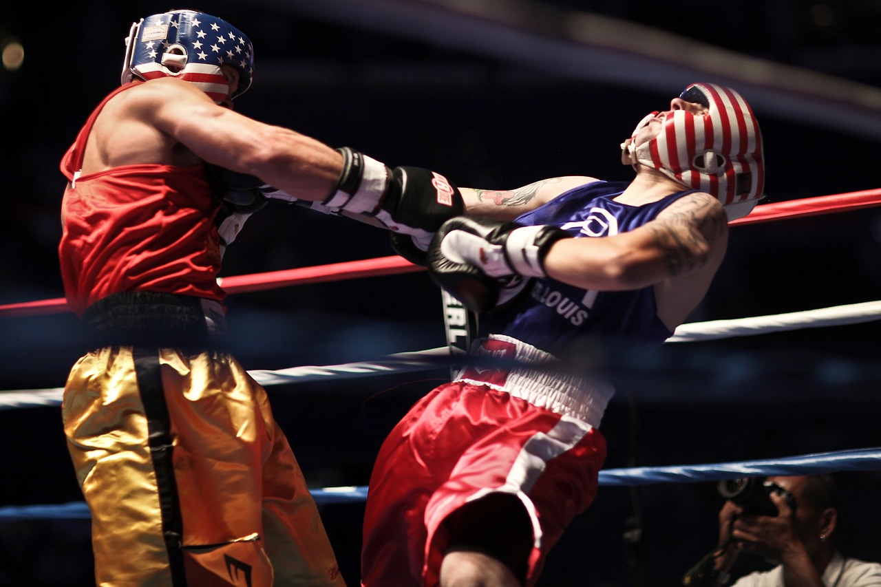 boxers males boxing free photo