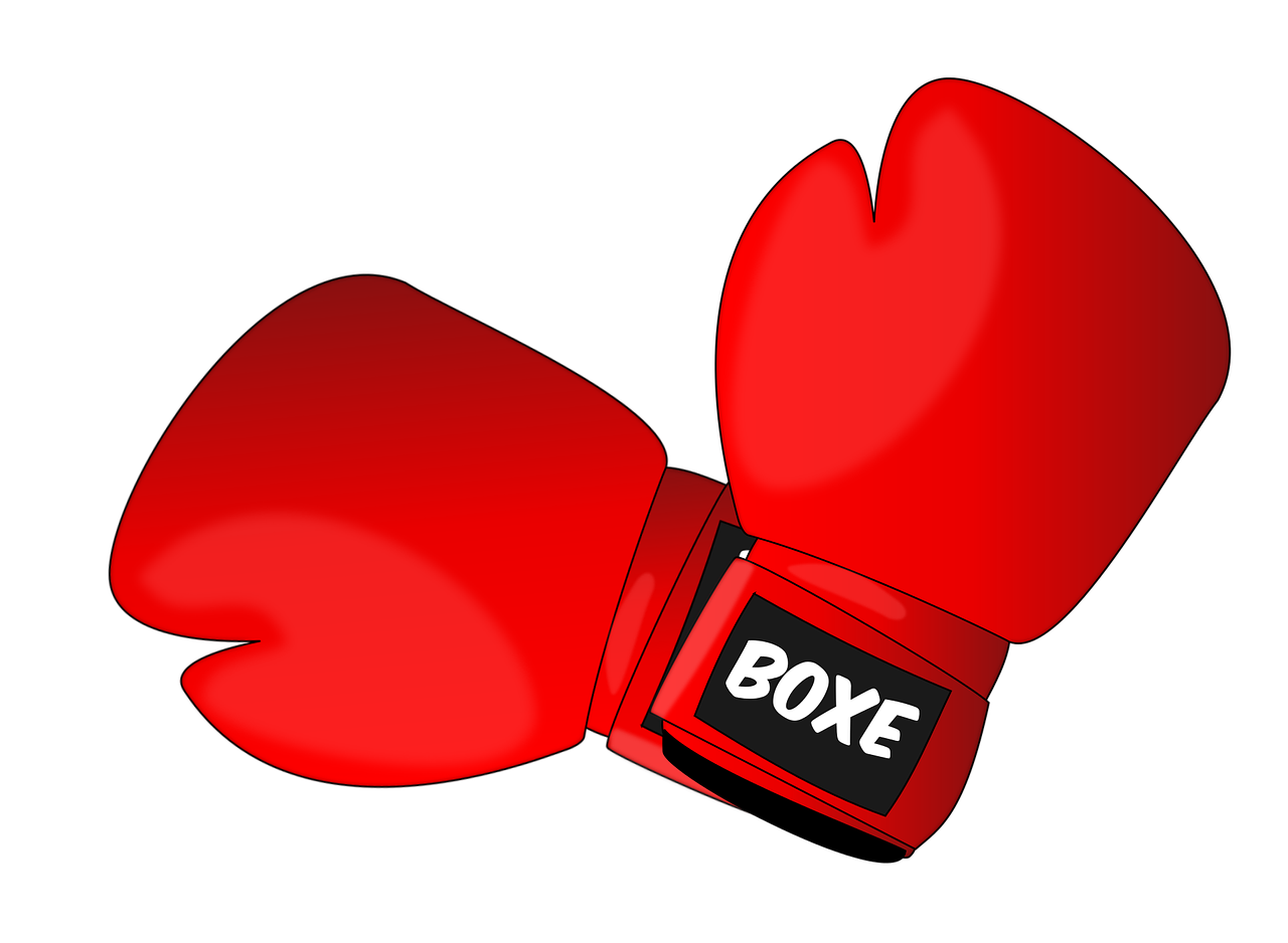 boxing fight gloves free photo