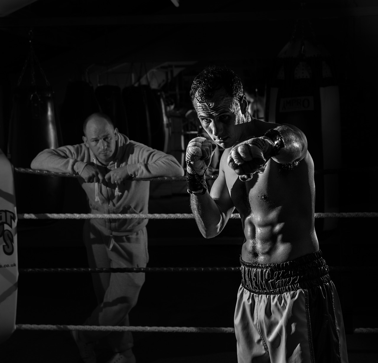 boxing boxer fitness free photo