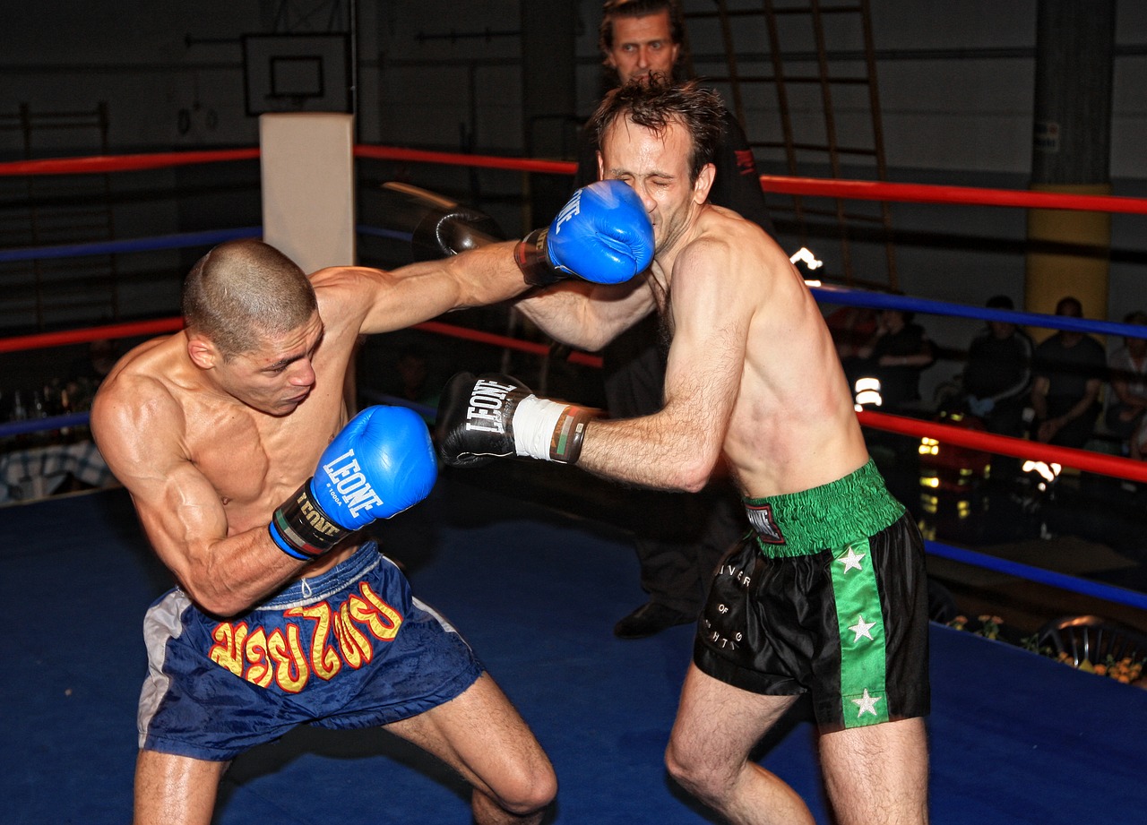 boxing kickboxing muay thai free photo