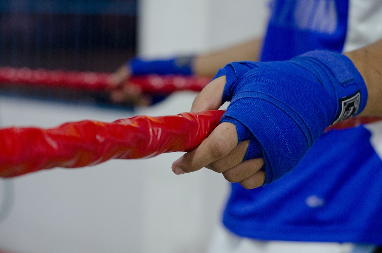 boxing fighter ropes free photo