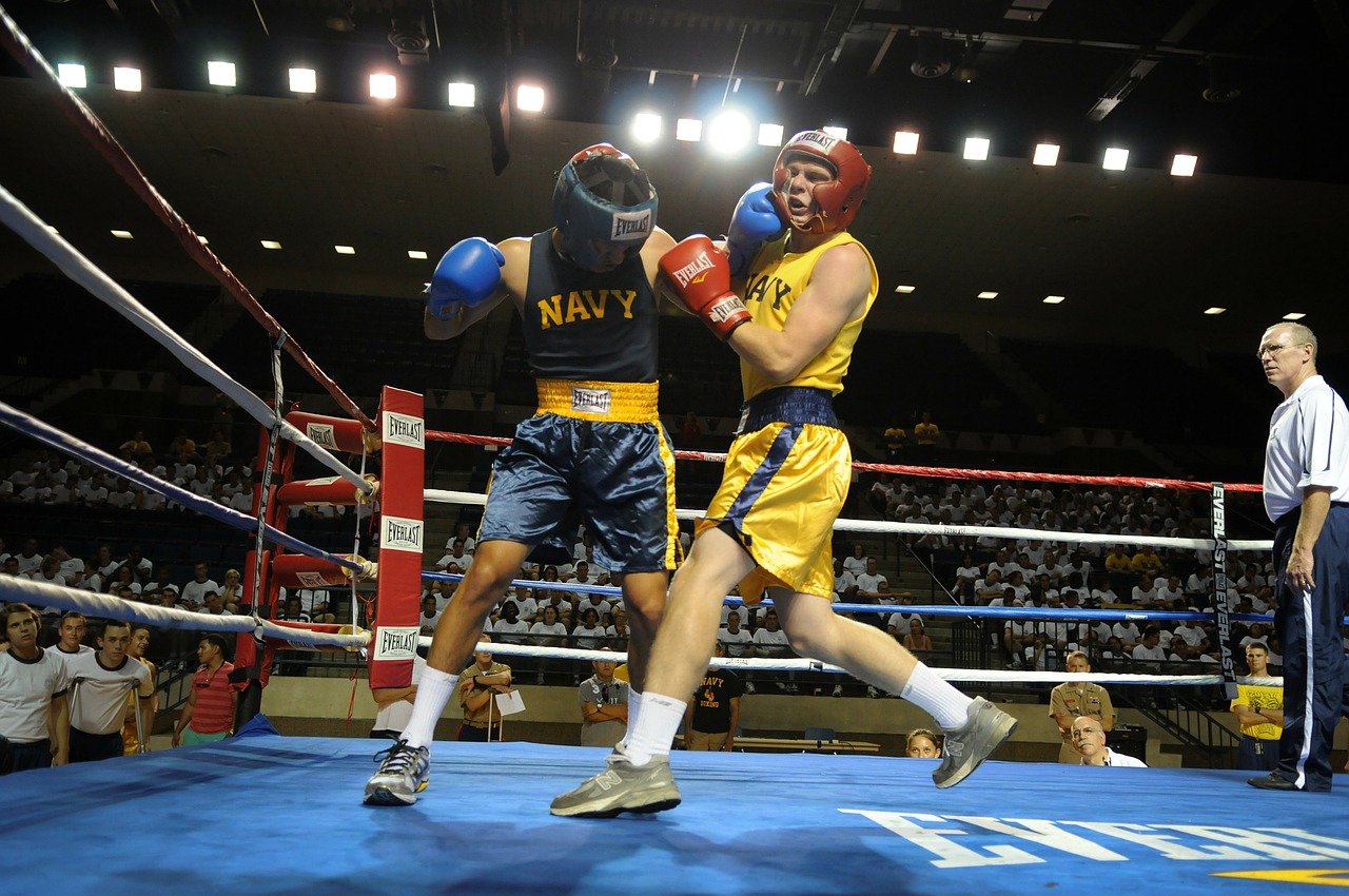 boxing boxers ring free photo