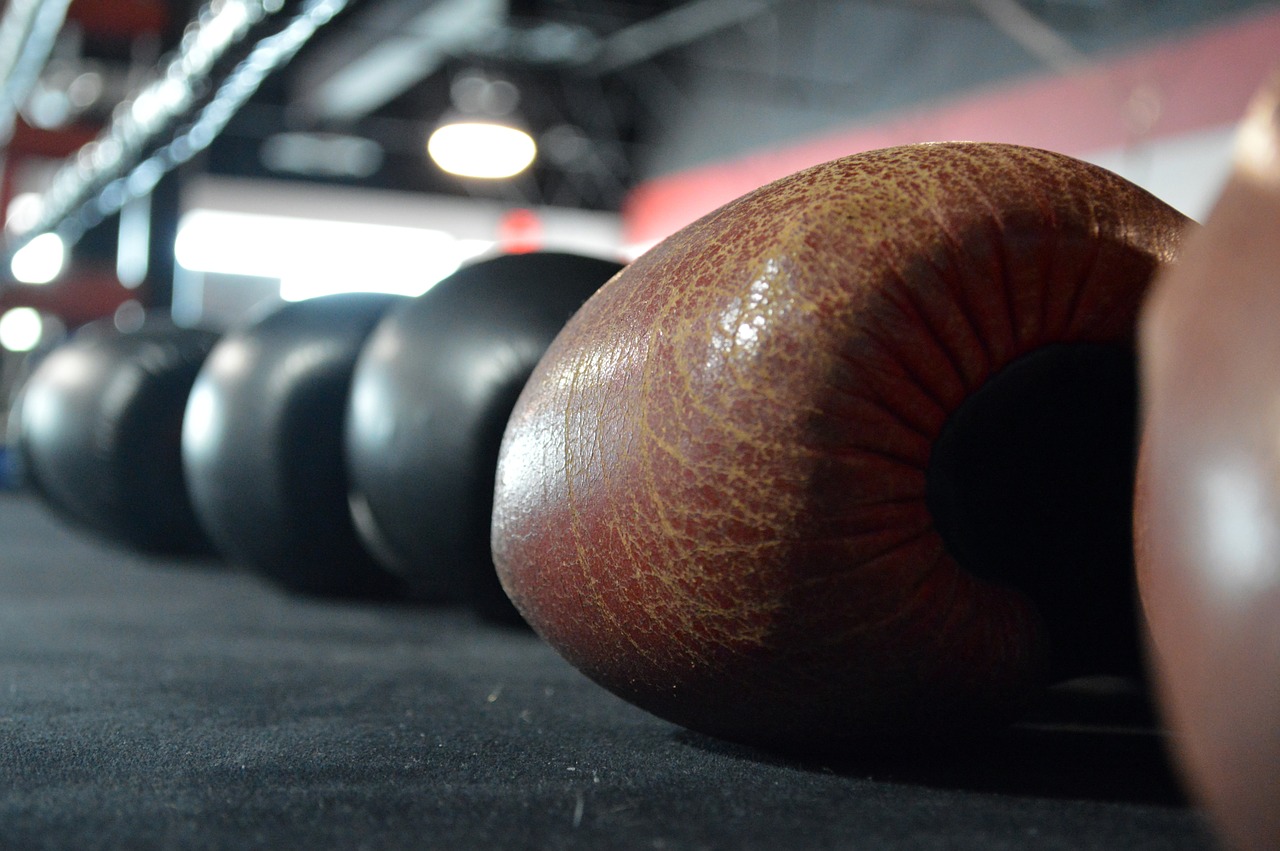 boxing gloves boxing ring boxing free photo