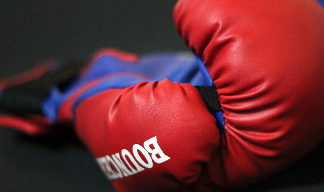 boxing gloves gloves boxing free photo