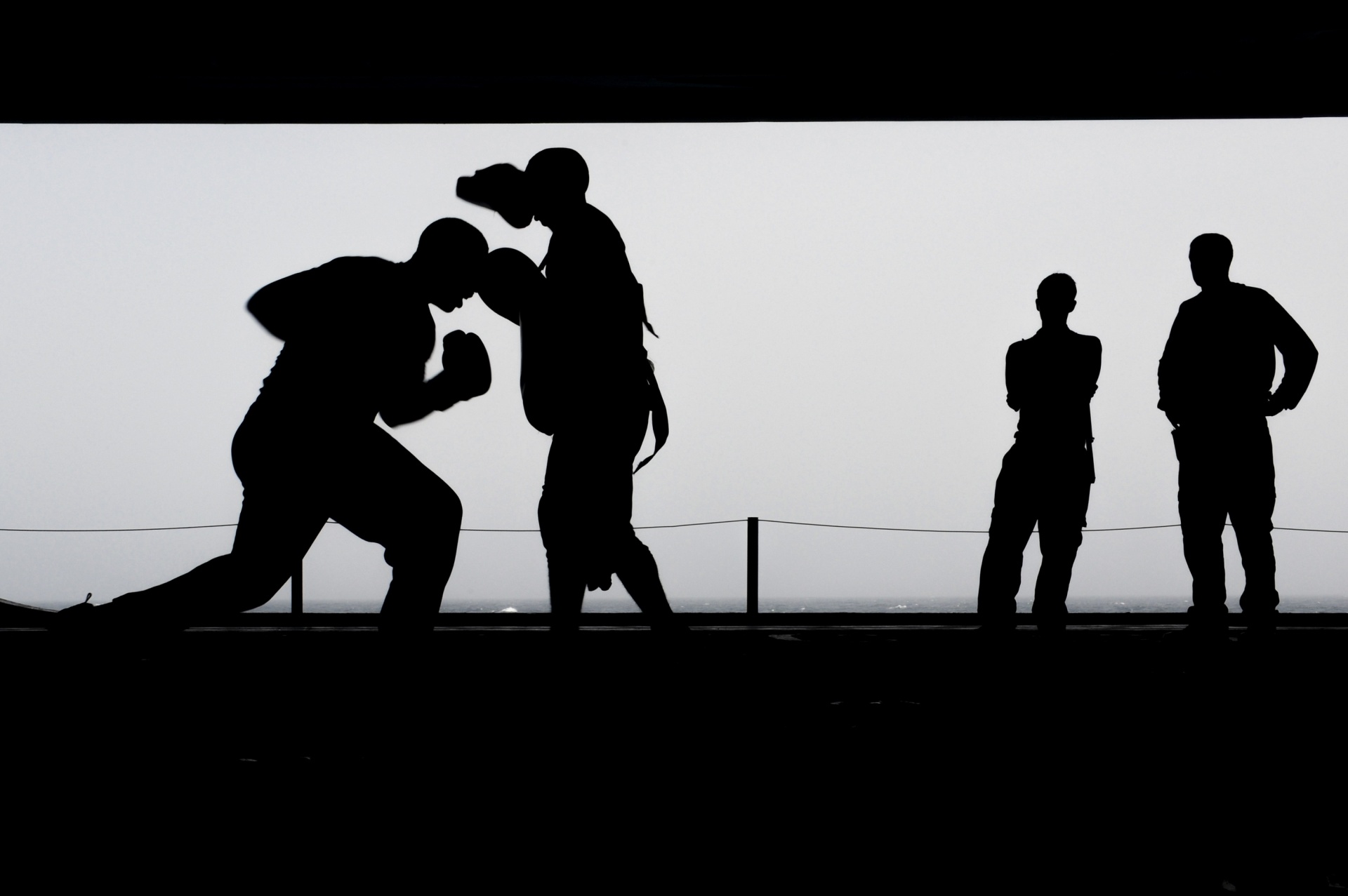 boxing boxers workout free photo