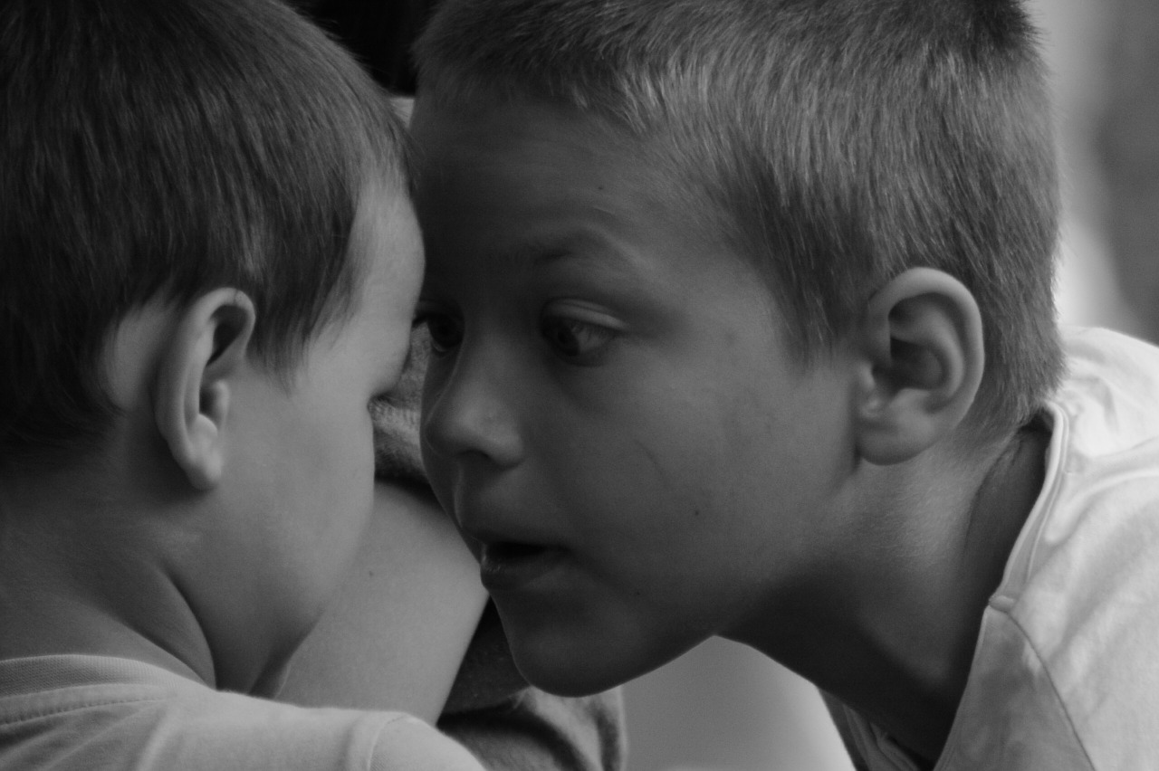 boy escorca black and white free photo