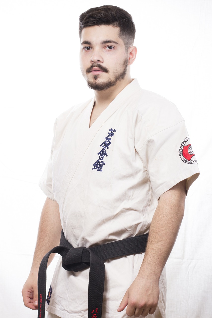boy karate fighter free photo