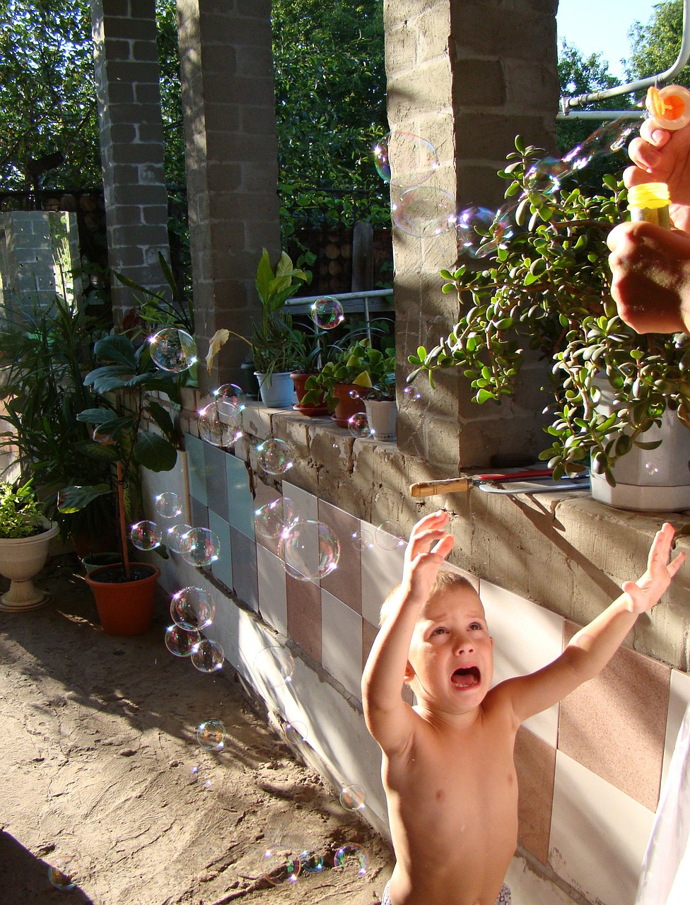 boy soap bubbles sun free photo