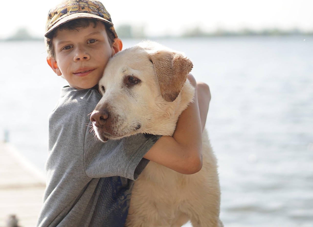 boy dog friendship free photo