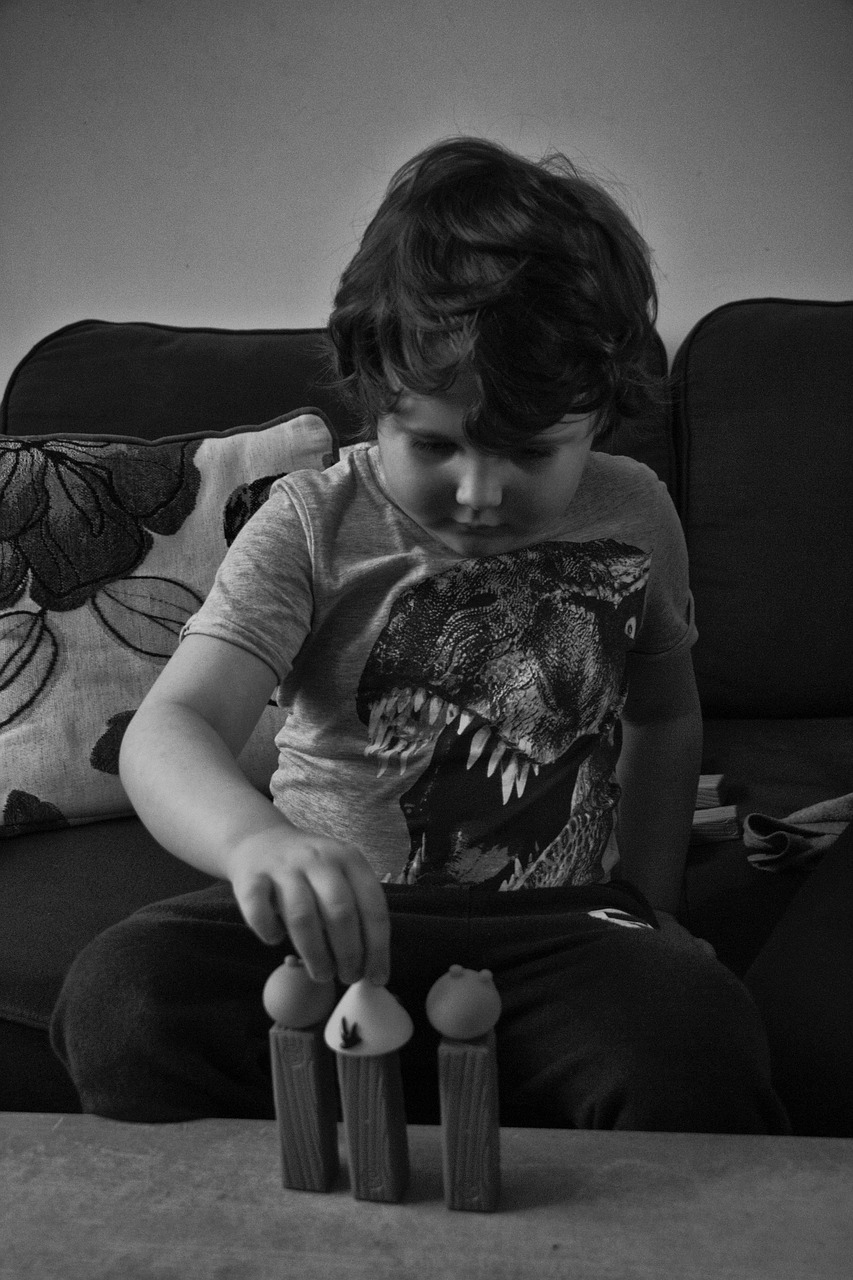 boy play toy free photo