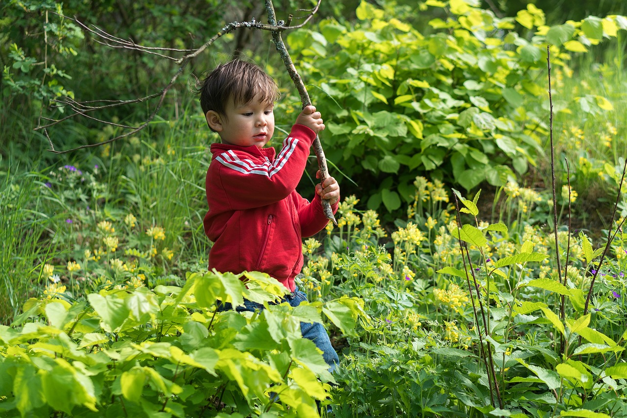 boy forest nature free photo