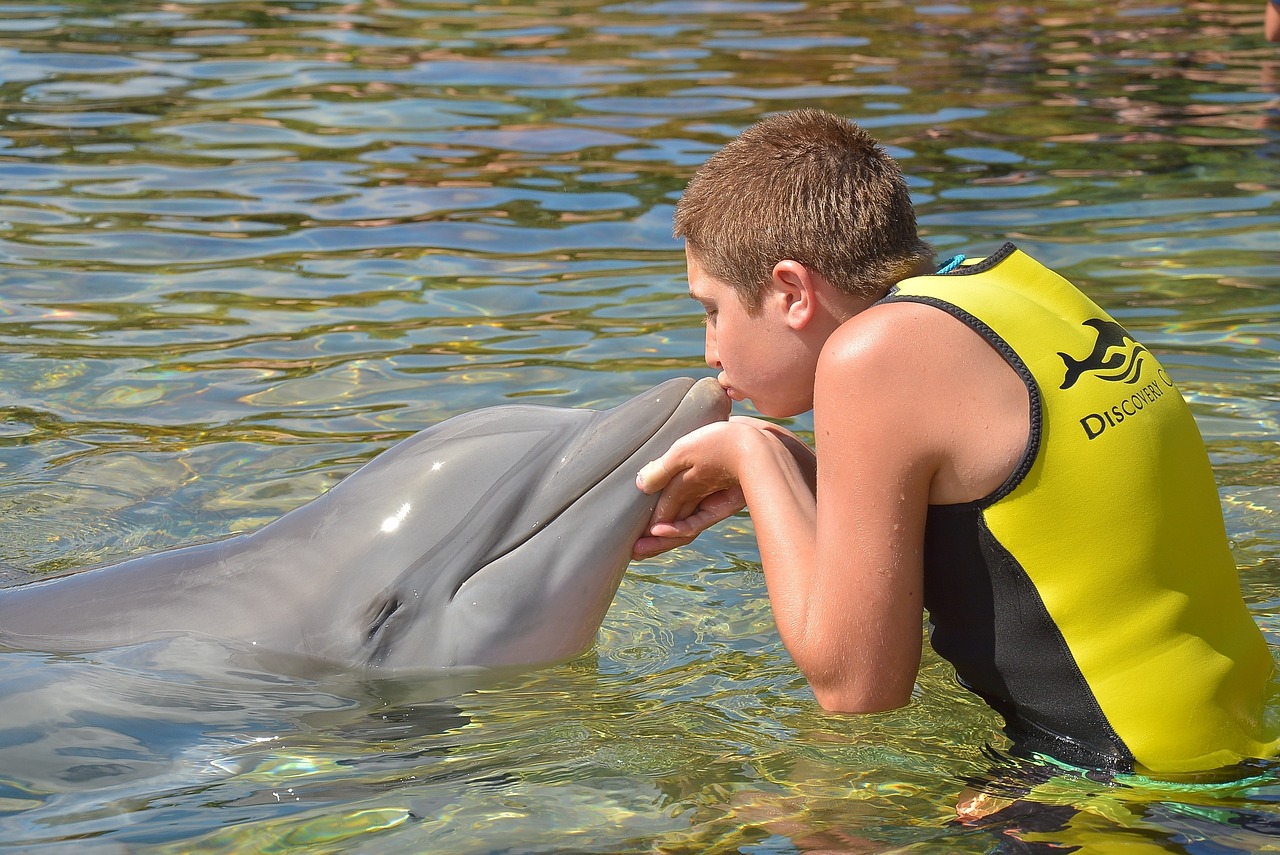 boy dolphin kiss free photo