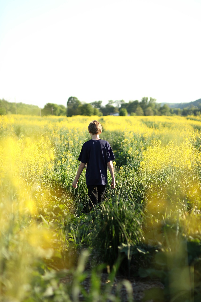 boy countryside field free photo