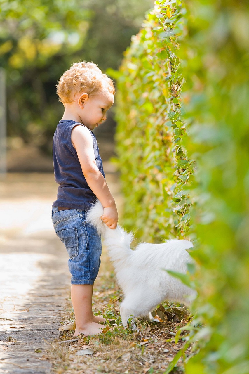 boy cat child free photo