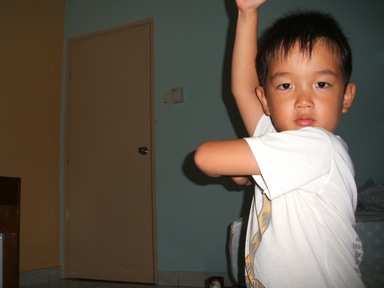 boy kung fu fighting martial free photo