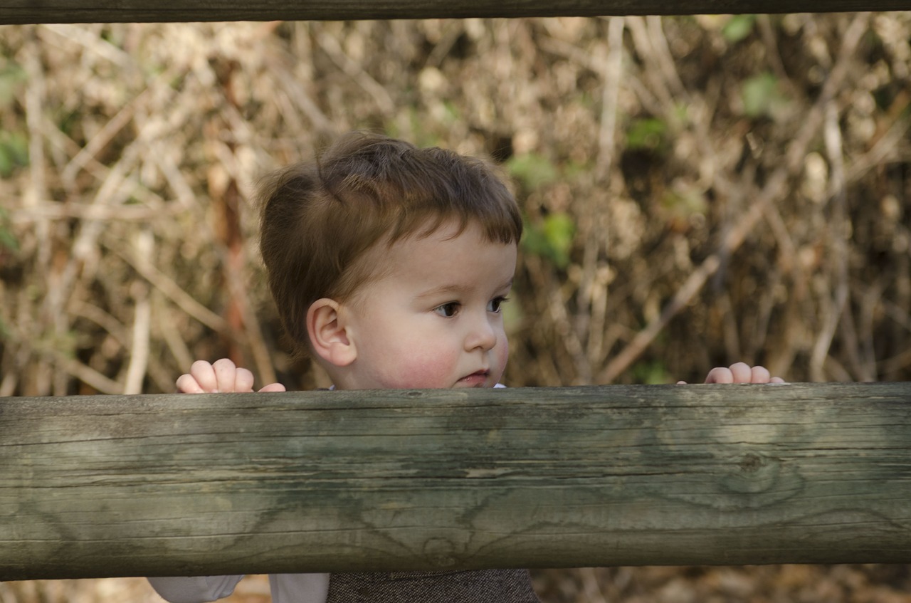 boy cute toddler free photo