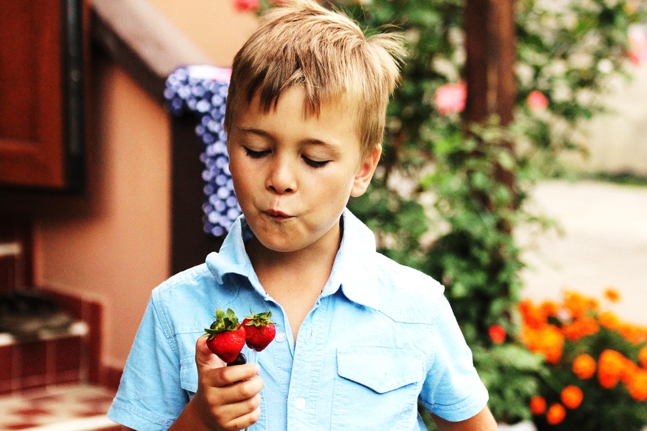 boy a boy strawberries strawberry free photo