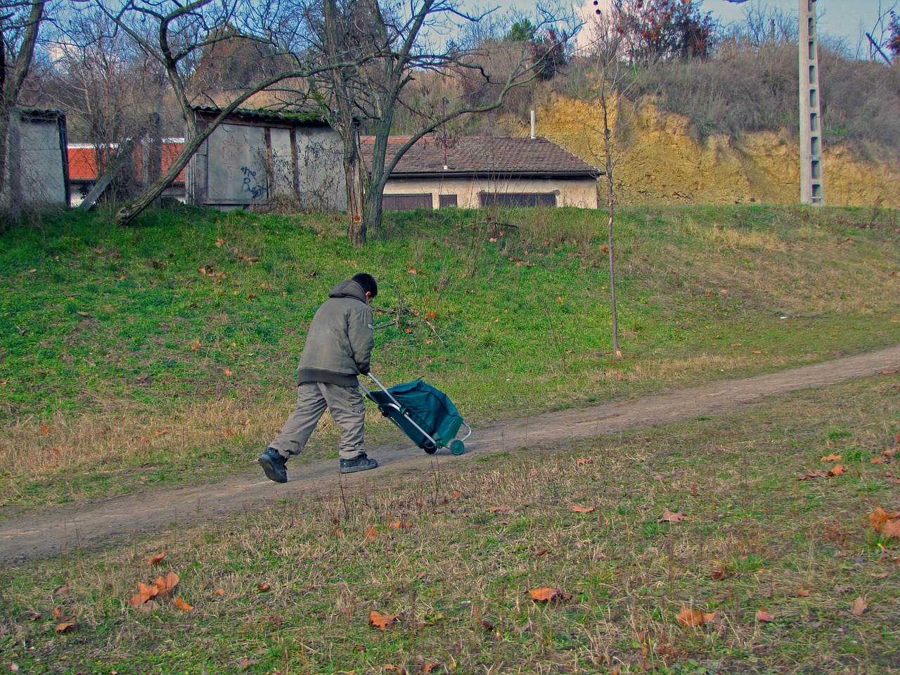 boy walk kid free photo