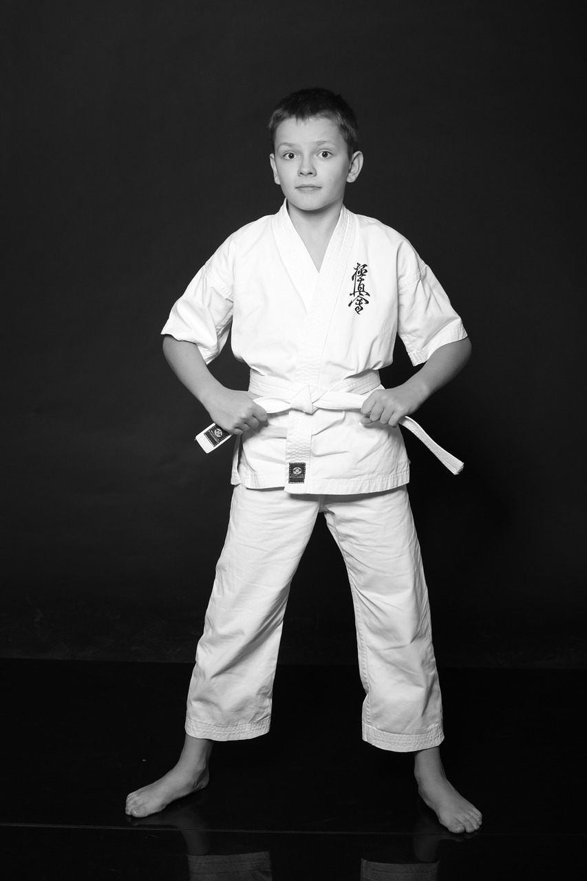boy teen karate free photo