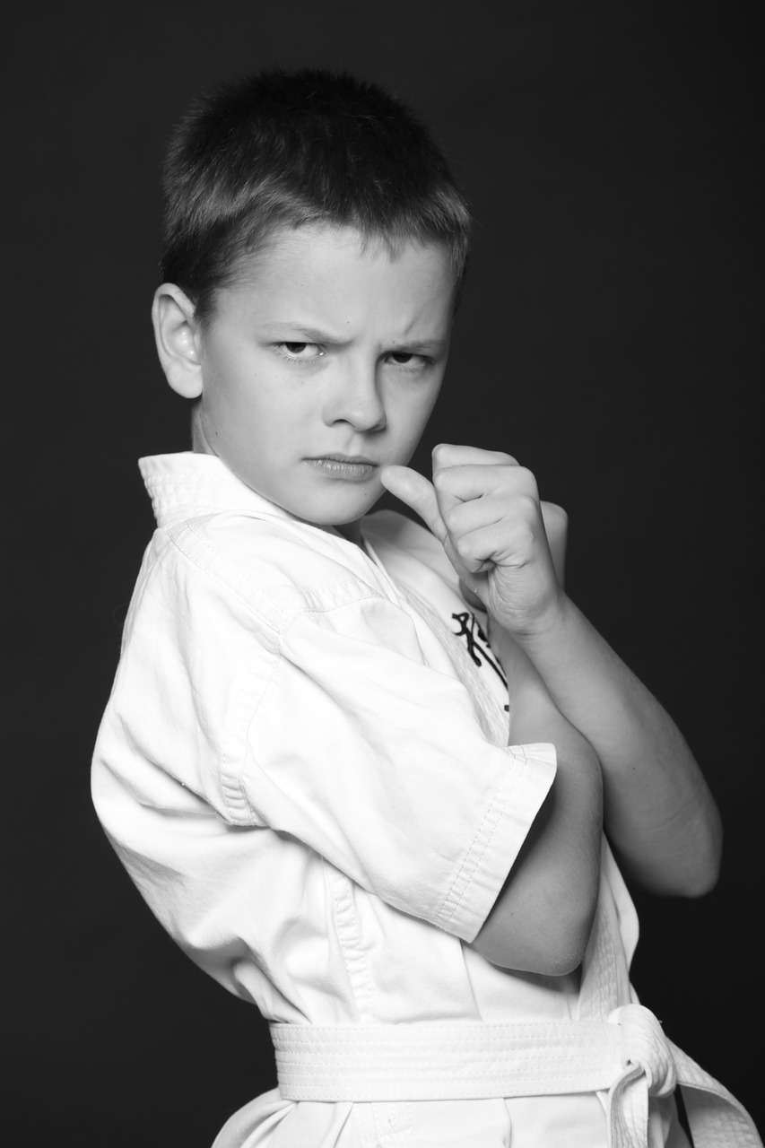 boy teen karate free photo